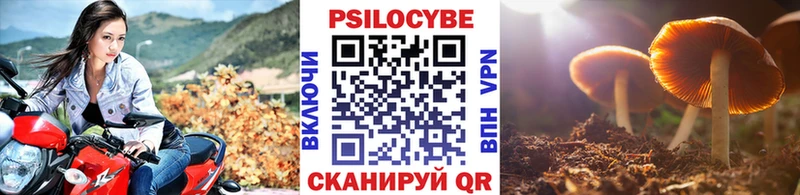 где продают наркотики  блэк спрут ТОР  Галлюциногенные грибы прущие грибы  Губаха 
